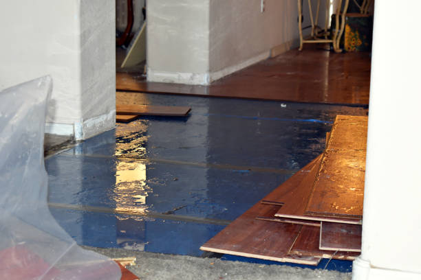 Professional Water Extraction technician working in Littlefield, TX